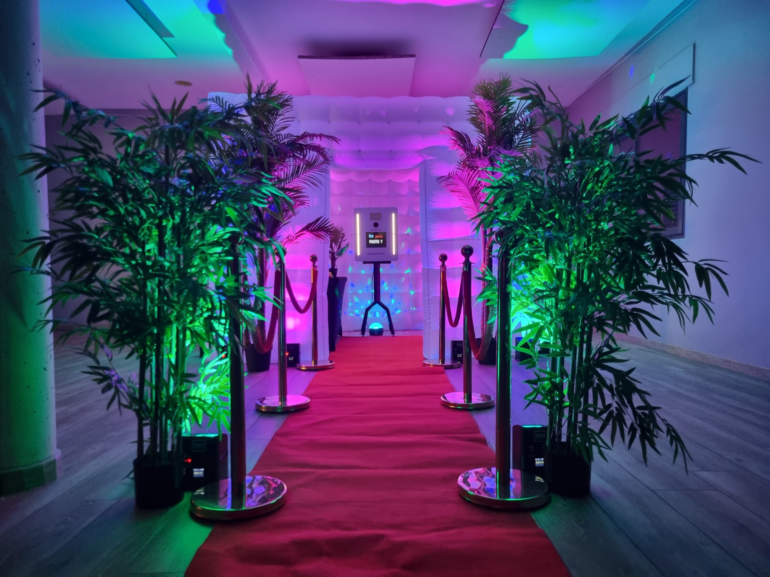 20240221_160219 Une décoration illuminée dans le noir. Dans un premier plan nous avons des arbres factices, des poteaux dorés et un tapis rouge qui nous mène jusqu'à la borne photo.