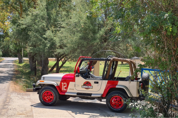 jeep jurassic park sur un fond de nature